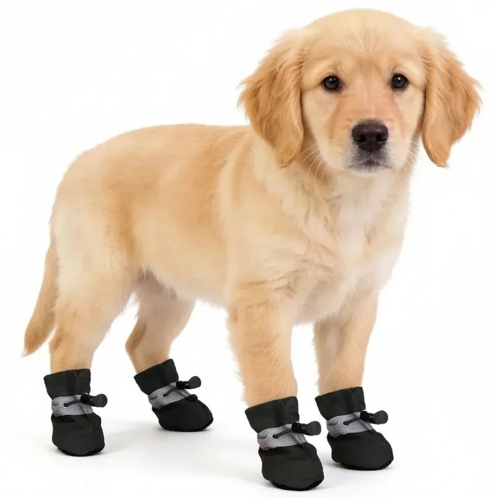 RainPaws™ Dog Rain Boots